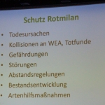0075 Energie Zukunft BUND Hessen M Krauss Folie 08.jpg